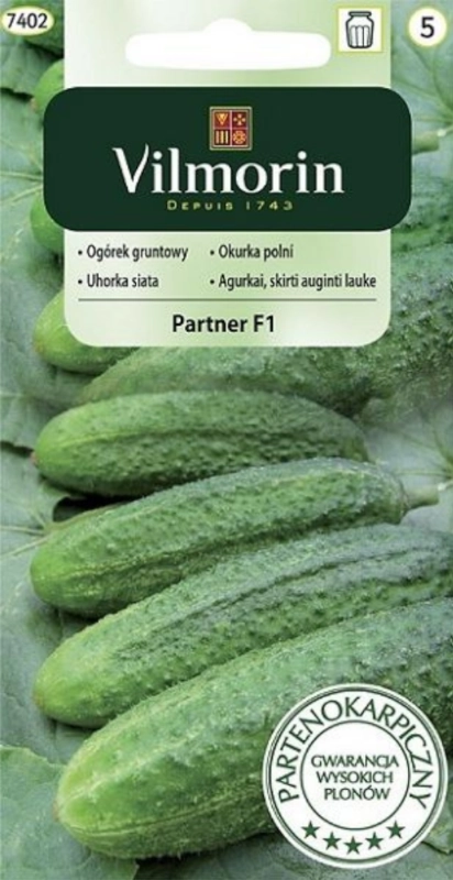 Vilmorin Ogórek gruntowy Panter F1 nasiona 3g 2 sklep rajogrodnika